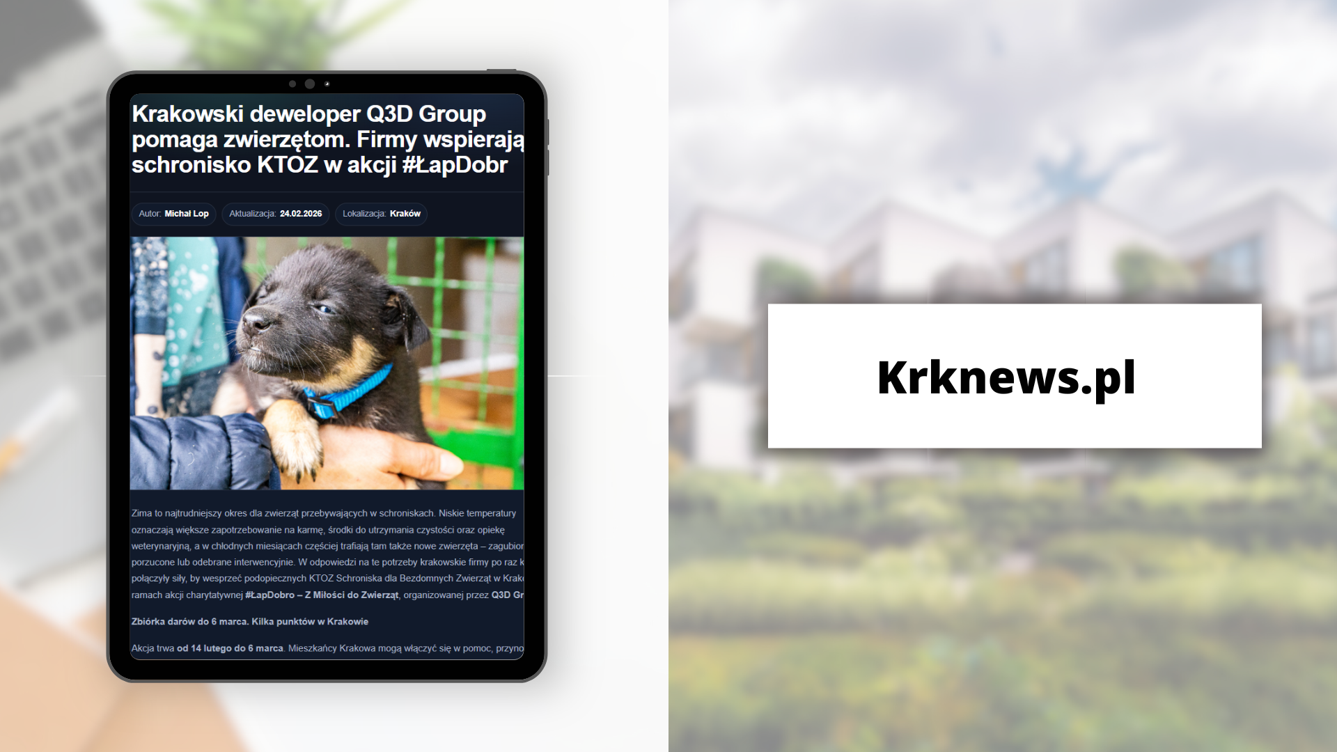 Krakowski deweloper Q3D Group pomaga zwierzętom. Firmy wspierają schronisko KTOZ w akcji #ŁapDobro